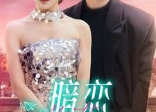 短剧《暗恋回响（100集）》免费短剧全集一网打尽