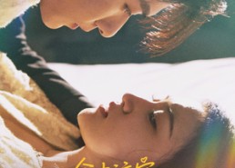 短剧《命中注定我爱你（63集）》短剧全集高清在线赏