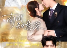 短剧《南风知意深（40集）》免费短剧全集畅快追