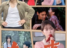 短剧《东北往事（60集）》优质短剧免费全集览