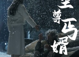 短剧《至尊丐婿（91集）》热门短剧全集免费播放