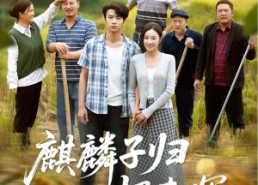 短剧《麒麟子归报春晖（36集）》热门短剧全集免费播放