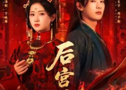 短剧《后宫雁（60集）》精彩短剧全集免费观