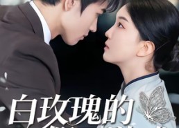 短剧《白玫瑰的假面游戏（88集）》超火短剧完整版在线