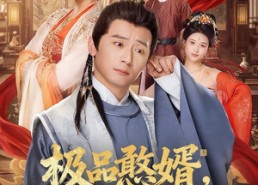短剧《极品憨婿，从闲散驸马到无双国士（76集）》短剧免费全集畅快追
