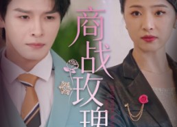 短剧《商战玫瑰（30集）》热门短剧全集高清观看