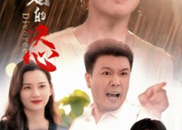 短剧《离婚的决心（48集）》短剧免费在线看完整集