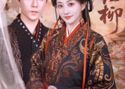 短剧《愿红柳（72集）》短剧免费全集一键畅享