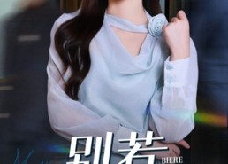 短剧《别惹太奶奶（65集）》高人气短剧免费全集观