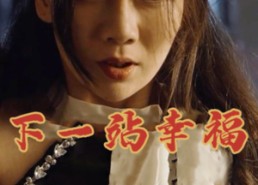 短剧《下一站幸福（19集）》在线短剧免费畅享全集