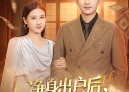 短剧《净身出户后，我转身踏青云（70集）》短剧完整版免费在线看