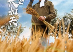 短剧《粮食安全大如天（43集）》短剧全集资源免费享