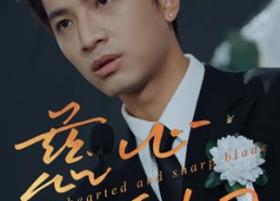 短剧《慈心利刃（30集）》高分短剧免费全集赏