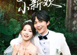 短剧《她的小新欢（84集）》免费短剧全集随心看