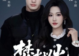 短剧《焚冰以火（70集）》热门短剧全集免费播放