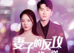 短剧《妻子的反攻之华丽逆袭（30集）》短剧高清全集免费享