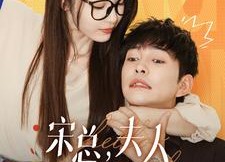 短剧《宋总，夫人又闹脾气了（60集）》短剧免费在线完整看