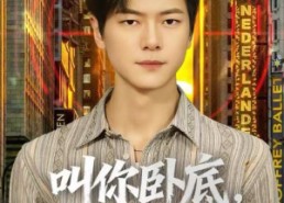 短剧《叫你卧底，没叫你关心大嫂（80集）》精彩短剧在线完整播放