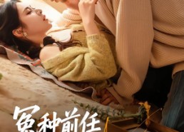 短剧《冤种前任欢迎来到对抗路（70集）》精彩短剧免费在线品鉴