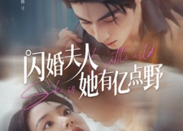 短剧《闪婚夫人她有亿点野（60集）》短剧免费全集畅快追