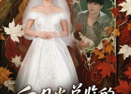 短剧《白月光总监的狩猎游戏（60）》短剧高清全集免费畅享