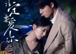 短剧《命中注定要爱你（73集）》优质短剧在线免费览