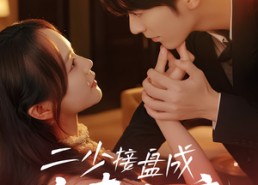 短剧《二少接盘成宠妻狂魔 (62集)》短剧超清全集免费看