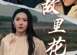 短剧《故里花开（43集）》热门短剧免费全集播