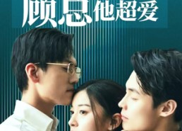 短剧《报告许小姐，顾总他超爱（76集）》必看短剧在线免费观看