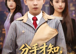 短剧《分手才知，她暗恋我十七年（80集）》短剧全集免费在线追