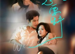 短剧《心要野（62集）》短剧免费全集高清观看