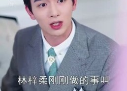 短剧《傅先生你的儿子是黑客（77集）》短剧完整版免费在线播