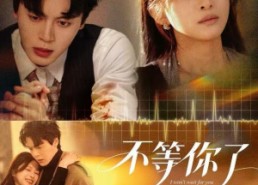 短剧《不等你了（60集）》热门短剧高清全集在线