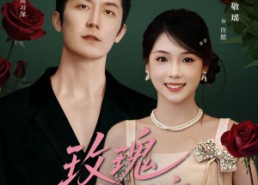 短剧《玫瑰未眠夜（71集）》短剧高清免费全集览观