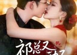 短剧《祁总又心动了（60集）》短剧完整剧情免费看