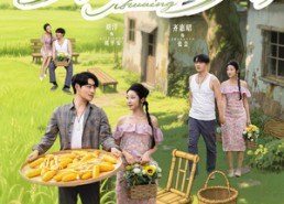 短剧《乡间俏佳人（80集）》短剧乡村趣事在线免费观