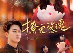 短剧《撩宠玫瑰（99集）》精彩短剧全集随心赏