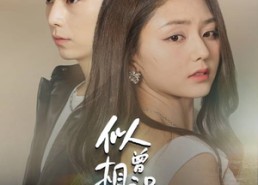 短剧《似曾相识爱归来（77集）》精彩短剧全集免费点播