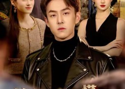 短剧《这个老大他懂法（100集）》免费短剧全集随心看