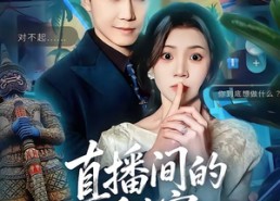 短剧《直播间的秘密（65集）》短剧全集免费在线观看无广告