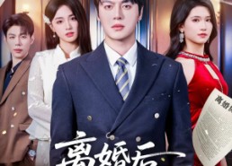 短剧《离婚后，总裁老婆悔红眼（61集）》精彩短剧免费全集追
