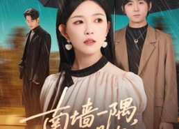 短剧《南墙一隅，回头是你（61集）》热门短剧免费全集赏