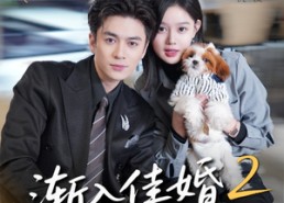 短剧《渐入佳婚2（103集）》短剧完整版免费畅播