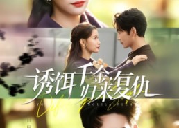 短剧《诱饵千金，归来复仇（67集）》免费短剧全集高清看