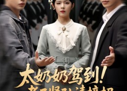 短剧《太奶奶驾到！孝子贤孙请接招（90集）》爆款短剧在线免费赏