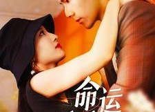 短剧《命运呼叫转移（100集）》短剧完整版在线畅享