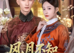 短剧《风月不知情深（71集）》精彩短剧一网打尽观看