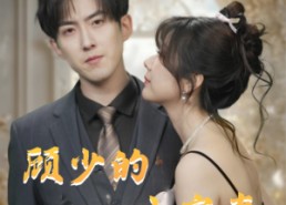 短剧《顾少的小宠妻（90集）》超火短剧免费全集享