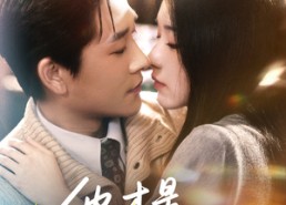 短剧《他才是高枝（77集）》超火短剧免费在线赏