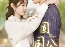 短剧《固国公主（87集）》精彩短剧完整版在线